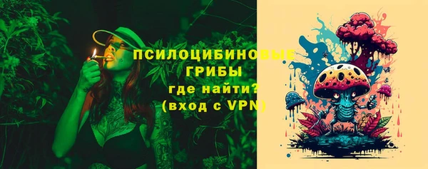 эйфоретик Алексин