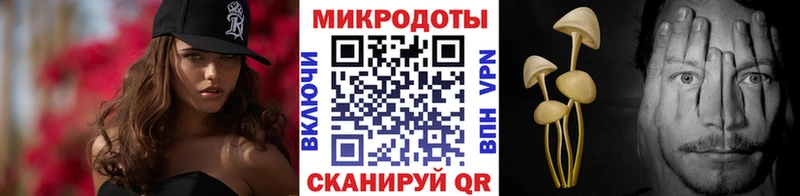 продажа наркотиков  Арамиль  Галлюциногенные грибы Psilocybe 